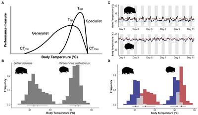 Frontiers | Body Temperature Frequency Distributions: A Tool For ...